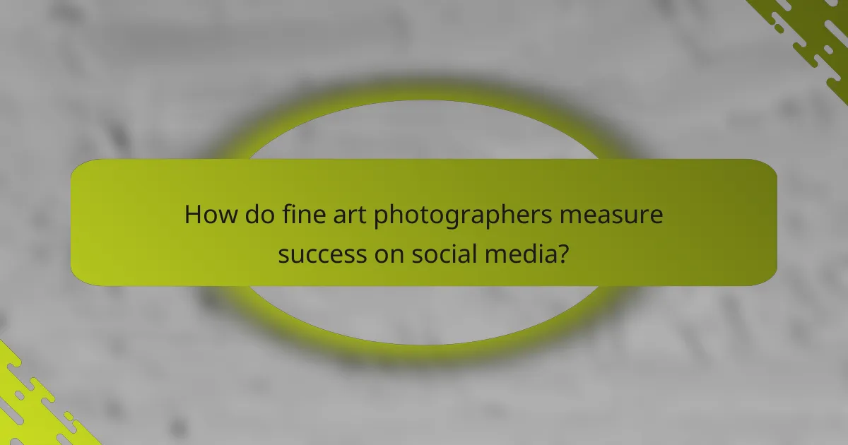 How do fine art photographers measure success on social media?
