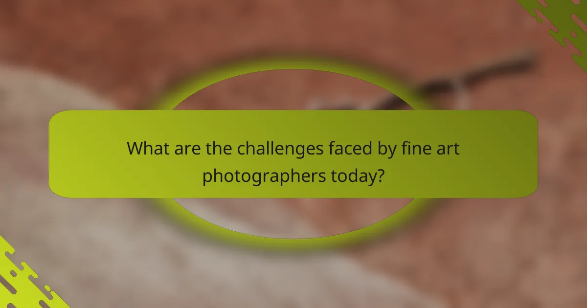 What are the challenges faced by fine art photographers today?