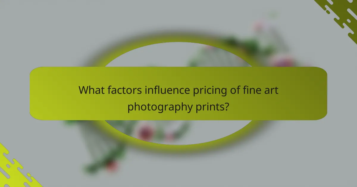 What factors influence pricing of fine art photography prints?
