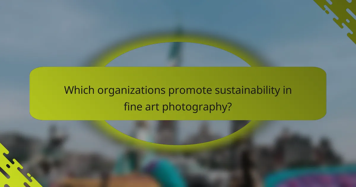Which organizations promote sustainability in fine art photography?